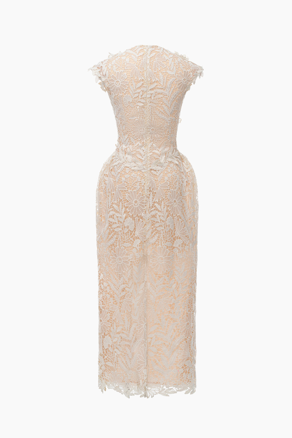 Ivory Bloom